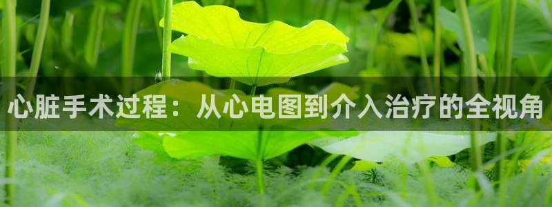 人人美剧视频：心脏手术过程：从心电图到介入治疗的全视角