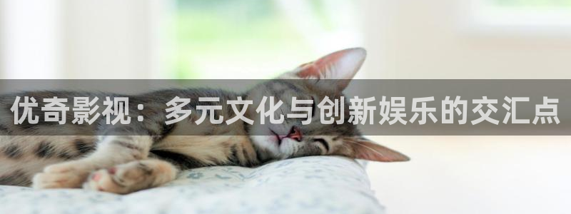 人人爱免费公开视频：优奇影视：多元文化与创新娱乐的交汇点
