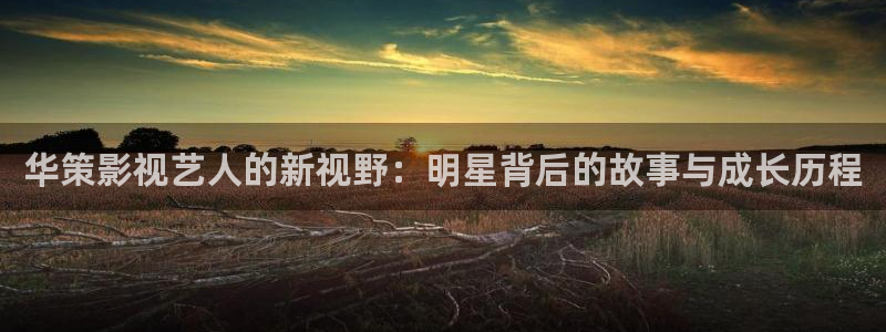 人人碰成人免费视频：华策影视艺人的新视野：明星背后的故事与成长历程