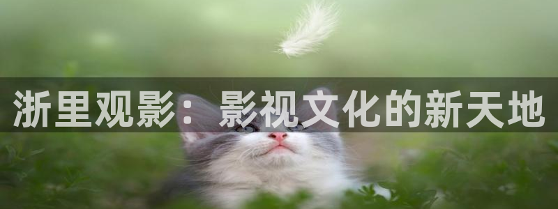 97人人做人人爱网站视频